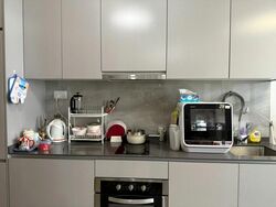 High Park Residences (D28), Apartment #503579871